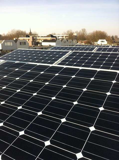 Renewable Energy 101: Understanding Green Energy Basics