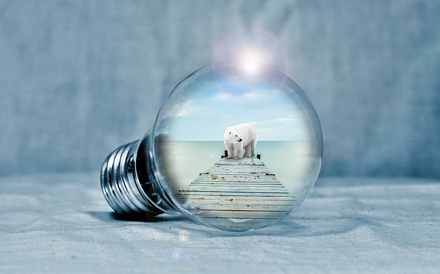 The Economics of Green Energy: Saving Money and the Planet